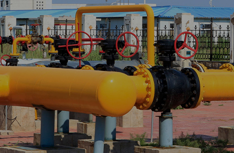 حصلت شركة المجموعة على ترخيص إنتاج للمنتجات الصناعية