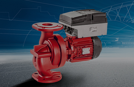 شهادة التصنيف الائتماني [مستوى AAA]